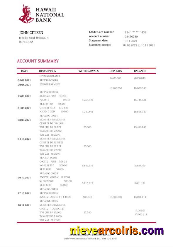 Hawaii Hawaii National Bank statement Word and PDF